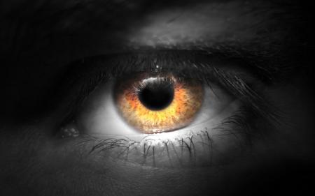 la magie de photoshop